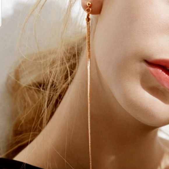 Nikkiwallflower Jewelry - *Daria* Solid Tassle Earrings